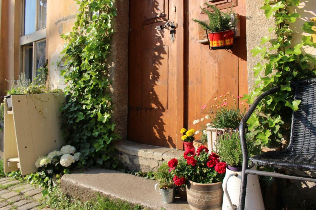 Lazy River Hostel Loket Exterior foto